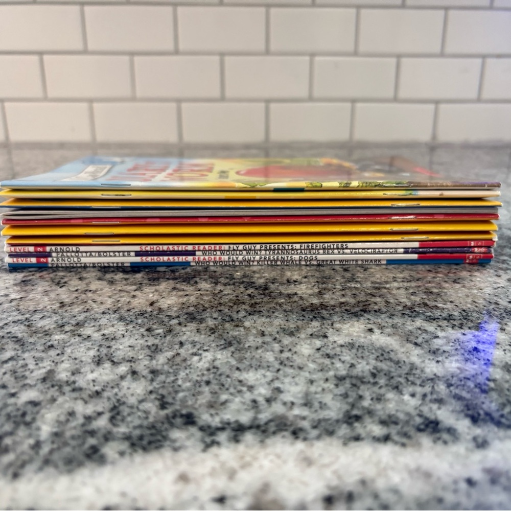 Lot of 11 Scholastic Books